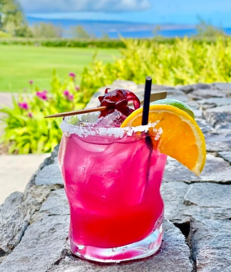 Hibiscus Margarita